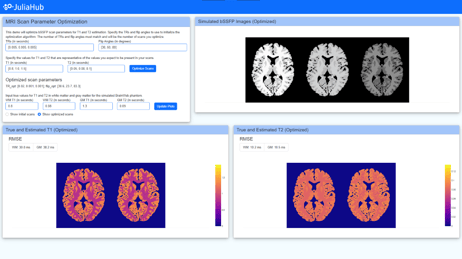 JuliaHub-Dash-MRIScanOptim-thumbnail