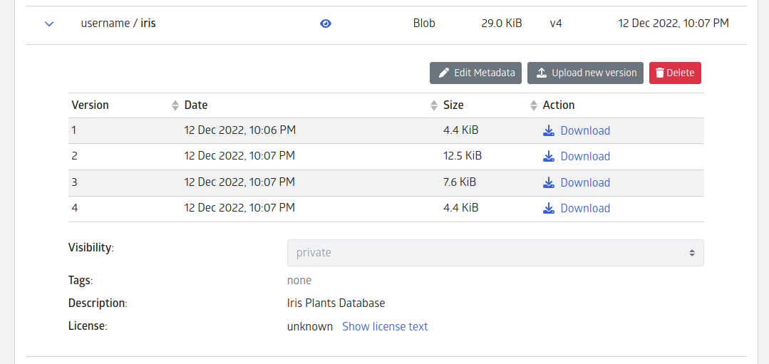 JuliaHub 6.0 release features