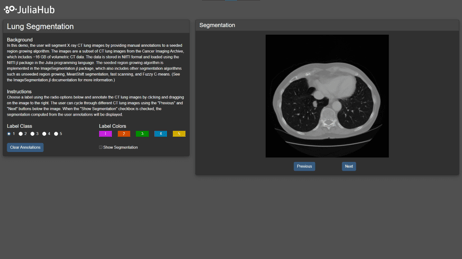 JuliaHub-Dash-LungSegmentation-thumbnail