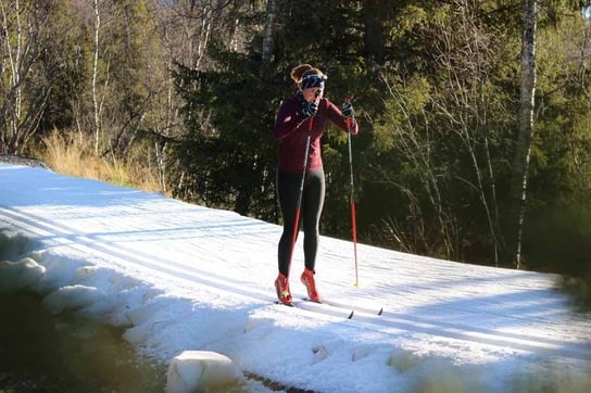 JuliaHub - cross country skiing woman snowy forest trail