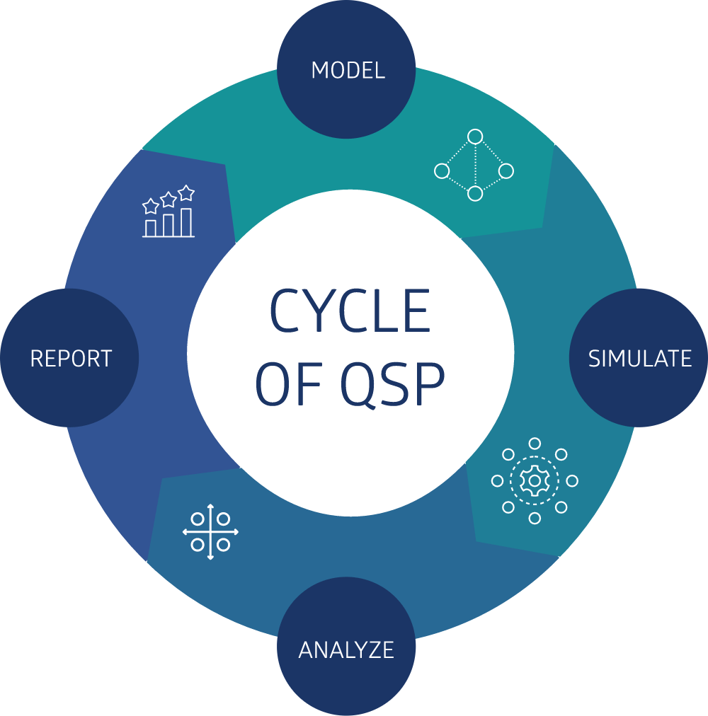 QSP Cycle